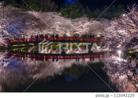 弘前さくら祭り 春陽橋の夜桜07 115042220