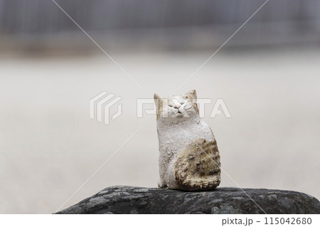 京都　聖護院門跡　宸殿前庭の枯山水に置かれたネコの置き物 115042680