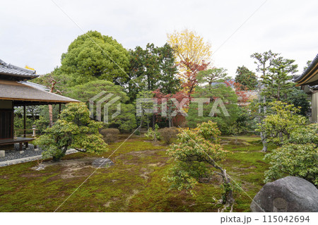京都　聖護院門跡　書院前庭園 115042694