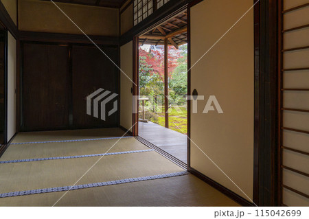 京都 聖護院門跡 書院前庭園 京都 聖護院門跡 書院前庭園 115042699