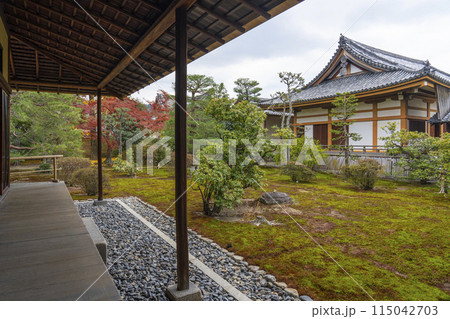 京都 聖護院門跡 書院前庭園 京都 聖護院門跡 書院前庭園 115042703