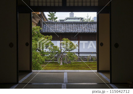 京都 聖護院門跡 書院前庭園 京都 聖護院門跡 書院前庭園 115042712