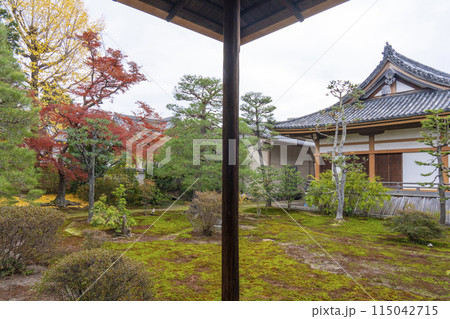 京都　聖護院門跡　書院前庭園 115042715