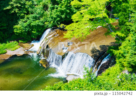 滑津大滝:滝見台 滑津大滝:滝見台 115042742