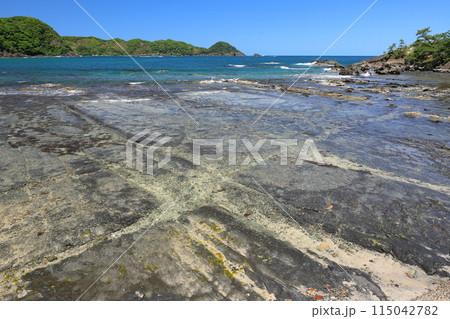 惣津海岸の波食棚 3 惣津海岸の波食棚 3 115042782