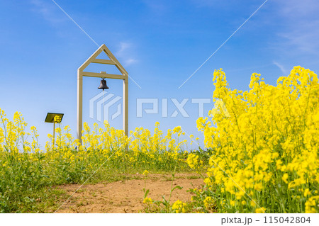 三ノ倉高原菜の花畑 115042804