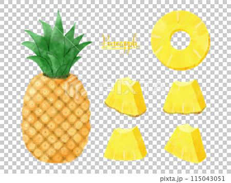 Hand drawn watercolor pineapple illustration set 115043051