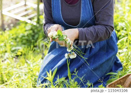 自然を満喫する女性 115043106
