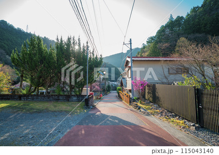 静岡県川根本町　寸又峡の景色　2024年春 115043140