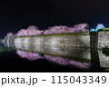 姫路城と夜桜 115043349