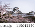 姫路城と桜 115043350