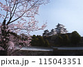 姫路城と桜 115043351