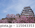 姫路城と桜 115043353