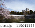 姫路城と桜 115043355