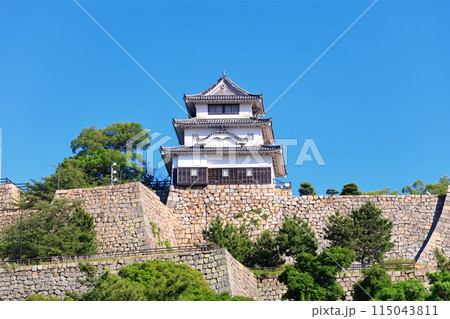 【香川県】北側内堀から見た五月晴れの丸亀城（現存天守と石垣の名城） 115043811
