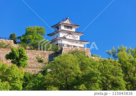 【香川県】北側内堀から見た五月晴れの丸亀城(現存天守と石垣の名城) 【香川県】北側内堀から見た五月晴れの丸亀城(現存天守と石垣の名城) 115043816