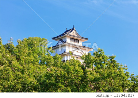 【香川県】北側内堀から見た五月晴れの丸亀城（現存天守と石垣の名城） 115043817