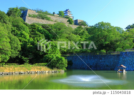 【香川県】北側内堀から見た五月晴れの丸亀城（現存天守と石垣の名城） 115043818
