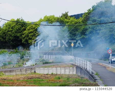 道路脇の畑で野焼き 道路脇の畑で野焼き 115044520