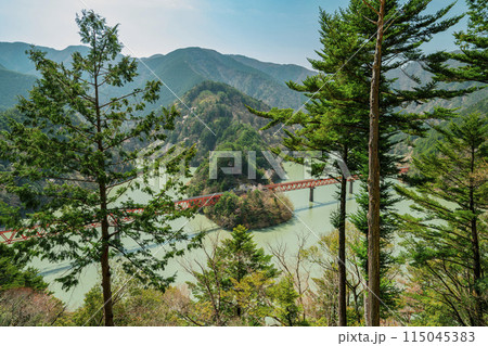 静岡県川根本町　春の奥大井湖上駅の景色 115045383