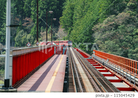 静岡県川根本町　春の奥大井湖上駅の景色 115045429