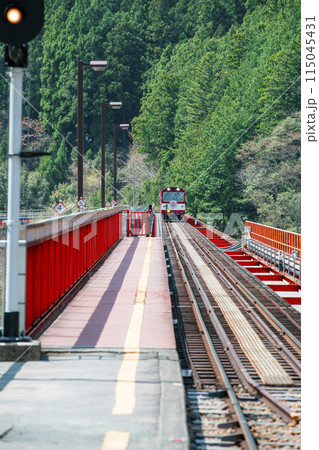 静岡県川根本町 春の奥大井湖上駅の景色 静岡県川根本町 春の奥大井湖上駅の景色 115045431