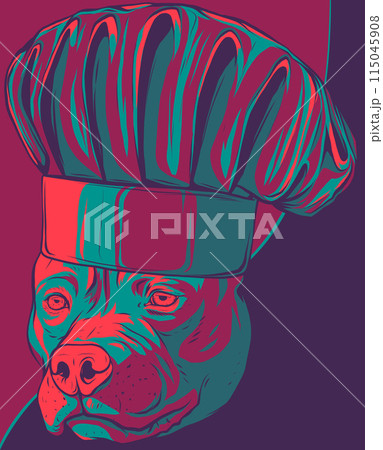 Pit bull Terrier in a chef s cap. Vector illustration. 115045908