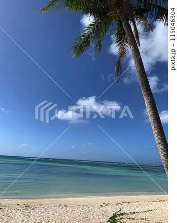 サイパン　マニャガハ島の海と空 115046304