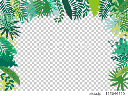 ジャングルフレーム5 115046320