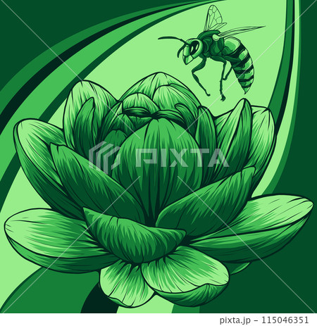 vector illustration of Bee with flowers engraving style isolate on white background 115046351