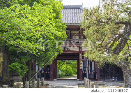 京都　本法寺　新緑に包まれた仁王門 115046597