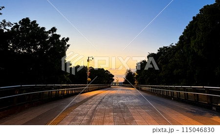 The beautiful views in Tokyo 115046830