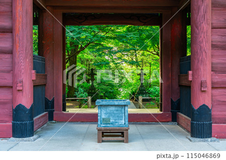 【神奈川県】夏の緑が綺麗な鎌倉の妙本寺 115046869