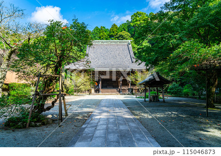 【神奈川県】夏の緑が綺麗な鎌倉の妙本寺 【神奈川県】夏の緑が綺麗な鎌倉の妙本寺 115046873