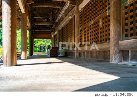 【神奈川県】夏の緑が綺麗な鎌倉の妙本寺 【神奈川県】夏の緑が綺麗な鎌倉の妙本寺 115046880