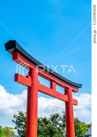 【神奈川県】夏空に映える鎌倉にある鶴岡八幡宮の大鳥居 【神奈川県】夏空に映える鎌倉にある鶴岡八幡宮の大鳥居 115046888
