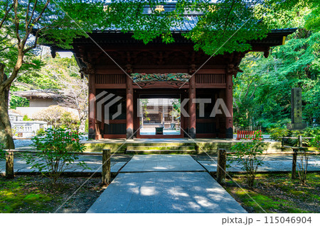 【神奈川県】夏の緑が綺麗な鎌倉の妙本寺 115046904