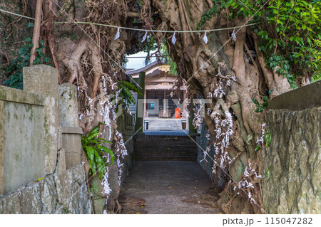 長崎県の新上五島町のあこう樹で有名な奈良尾神社の風景 115047282