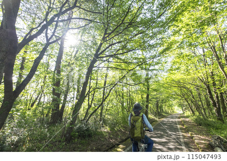 新緑・初夏のサイクリングイメージ　（蒜山高原） 115047493
