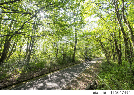 新緑・初夏のサイクリングイメージ　（蒜山高原） 115047494
