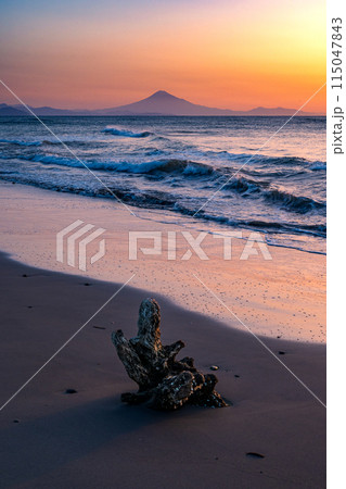 御前崎海岸から見た駿河湾越しの富士山と砂浜の流木 御前崎海岸から見た駿河湾越しの富士山と砂浜の流木 115047843
