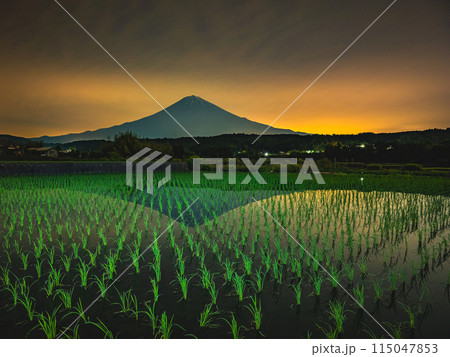 夜明け前のライトアップされた水田の逆さ富士 夜明け前のライトアップされた水田の逆さ富士 115047853