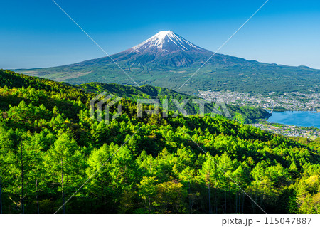 西川林道の高台から見る新緑と富士山 西川林道の高台から見る新緑と富士山 115047887