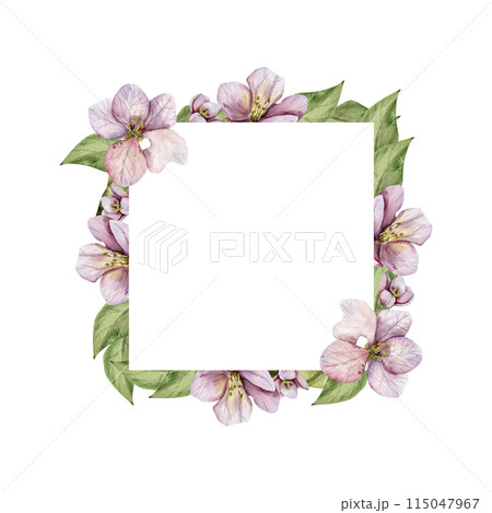 Spring apple flowers with green leaves in square watercolor frame. Floral realistic banner, blossom element. For wall art, fabric, wedding invitation. Romantic decor Spring apple flowers with green leaves in square watercolor frame. Floral realistic banner, blossom element. For wall art, fabric, wedding invitation. Romantic decor 115047967