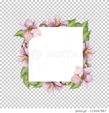 Spring apple flowers with green leaves in square watercolor frame. Floral realistic banner, blossom element. For wall art, fabric, wedding invitation. Romantic decor Spring apple flowers with green leaves in square watercolor frame. Floral realistic banner, blossom element. For wall art, fabric, wedding invitation. Romantic decor 115047967