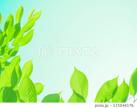 さくらの若葉＿春の背景 115048176