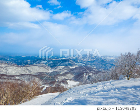 スキー場山頂から見渡す雪の山々 (長野県、斑尾高原) スキー場山頂から見渡す雪の山々 (長野県、斑尾高原) 115048205