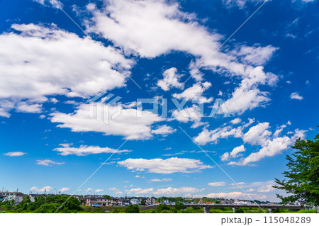 家並みと夏の爽やかな青空 115048289
