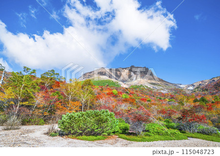 秋の那須岳（茶臼岳）　紅葉する姥ヶ平の自然風景【栃木県・那須塩原市】 115048723