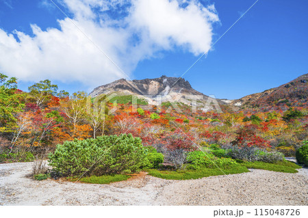 秋の那須岳(茶臼岳) 「姥ヶ平」から見る美しい紅葉【栃木県・那須塩原市】 秋の那須岳(茶臼岳) 「姥ヶ平」から見る美しい紅葉【栃木県・那須塩原市】 115048726